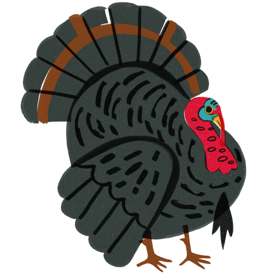 Guajolotes (Turkeys) Icon